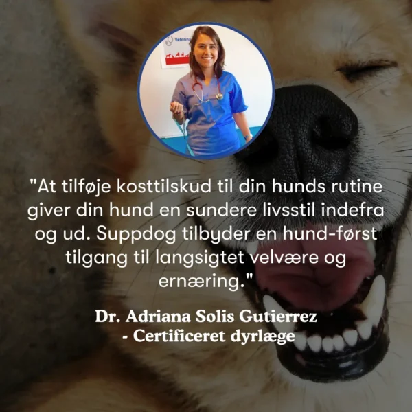 (Danish) (2) (Danish) (2)