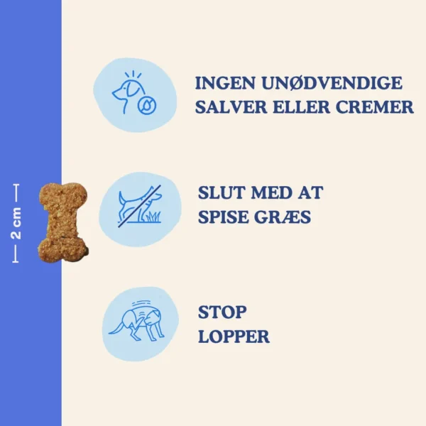 Grootte - Snoepje + Benefits - Probiotica Grootte - Snoepje + Benefits - Probiotica